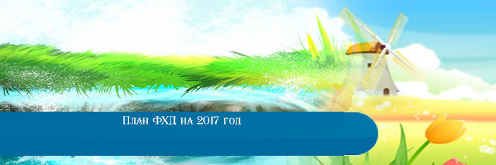 План ФХД на 2017 год